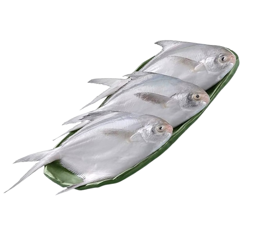 Ramba Fish ΰ΄ΰ΄΅ΰ΅ΰ΄²ΰ΄Ώ | Perumbavoor Fresh | Online Fish, Meat & Vegetable Delivery
